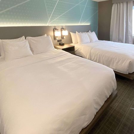 Comfort Inn & Suites סאראטוגה ספרינגס מראה חיצוני תמונה