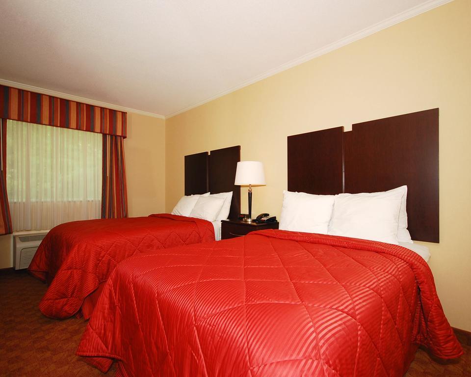 Comfort Inn & Suites סאראטוגה ספרינגס מראה חיצוני תמונה