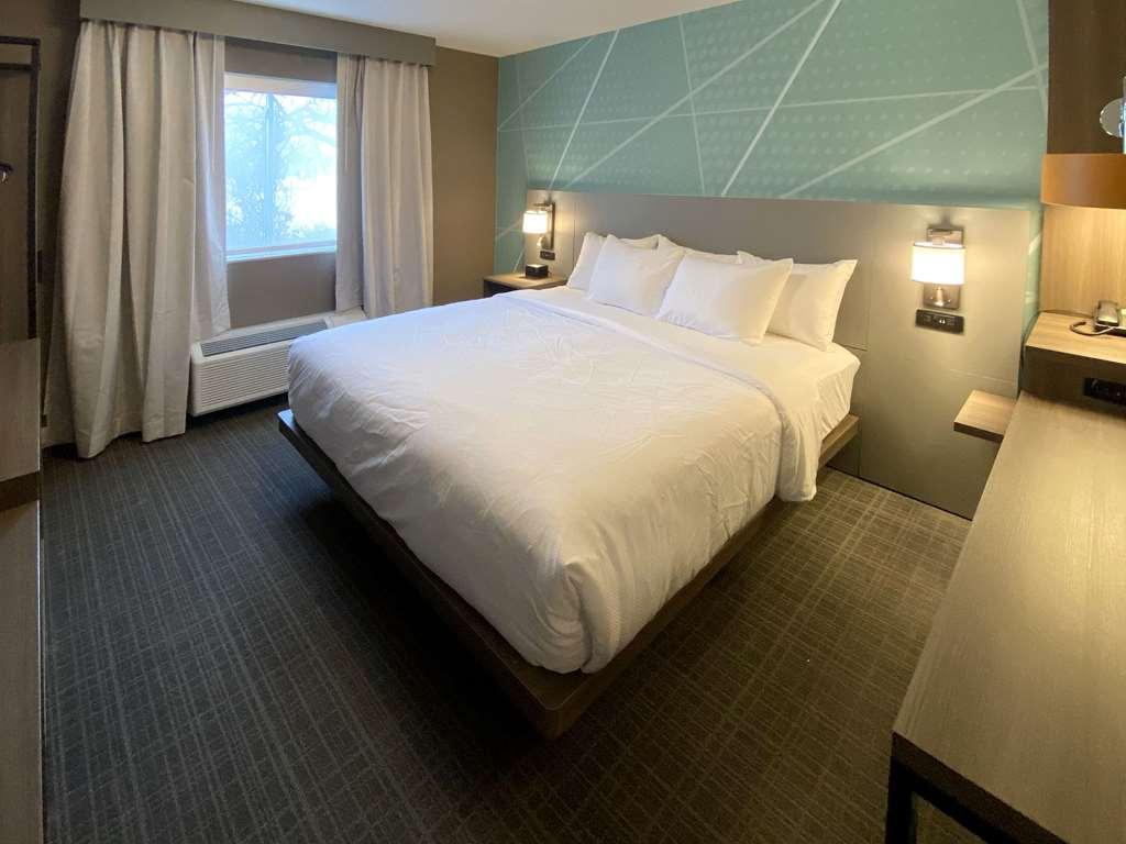 Comfort Inn & Suites סאראטוגה ספרינגס חדר תמונה